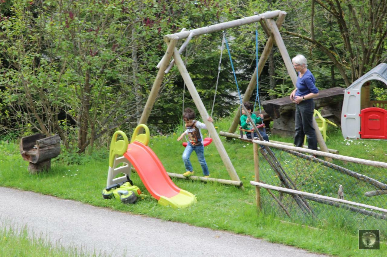 Alpenhaus Ganser-Dixit Mariazell Εξωτερικό φωτογραφία